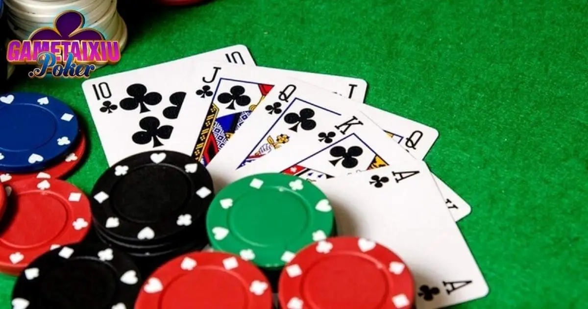 Khám phá về bài binh