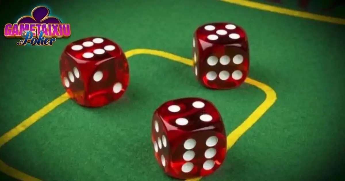 Hiểu cơ bản về xí ngầu