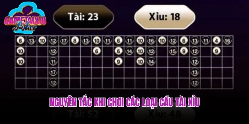 Nguyên tắc khi chơi các loại cầu tài xỉu