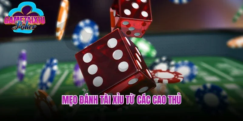 Mẹo đánh tài xỉu từ các cao thủ