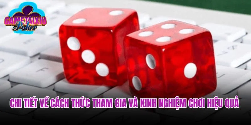 Chi tiết về cách thức tham gia và kinh nghiệm chơi hiệu quả 