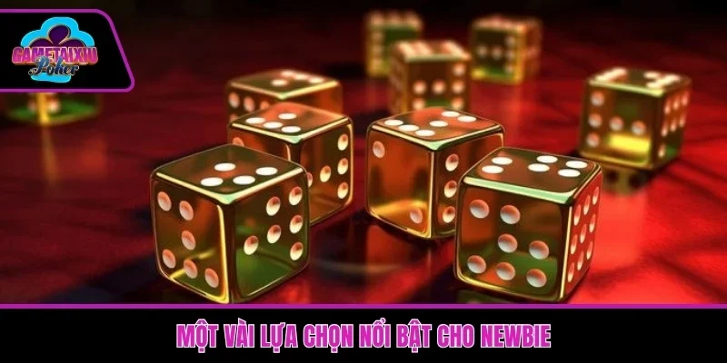 Một vài lựa chọn nổi bật cho newbie